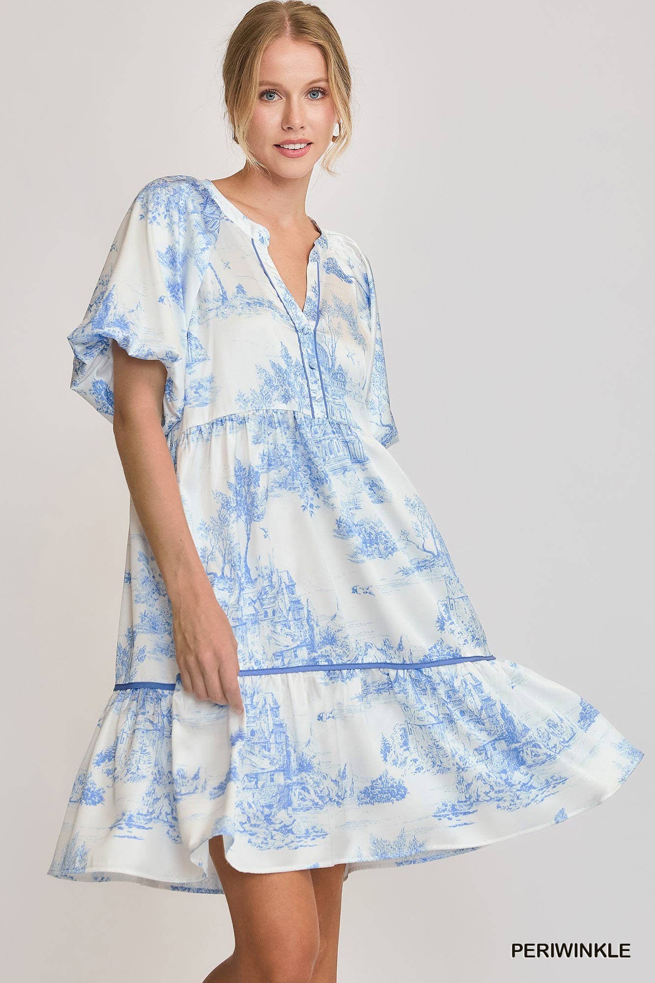 Two Tone Landscape Print Dress
