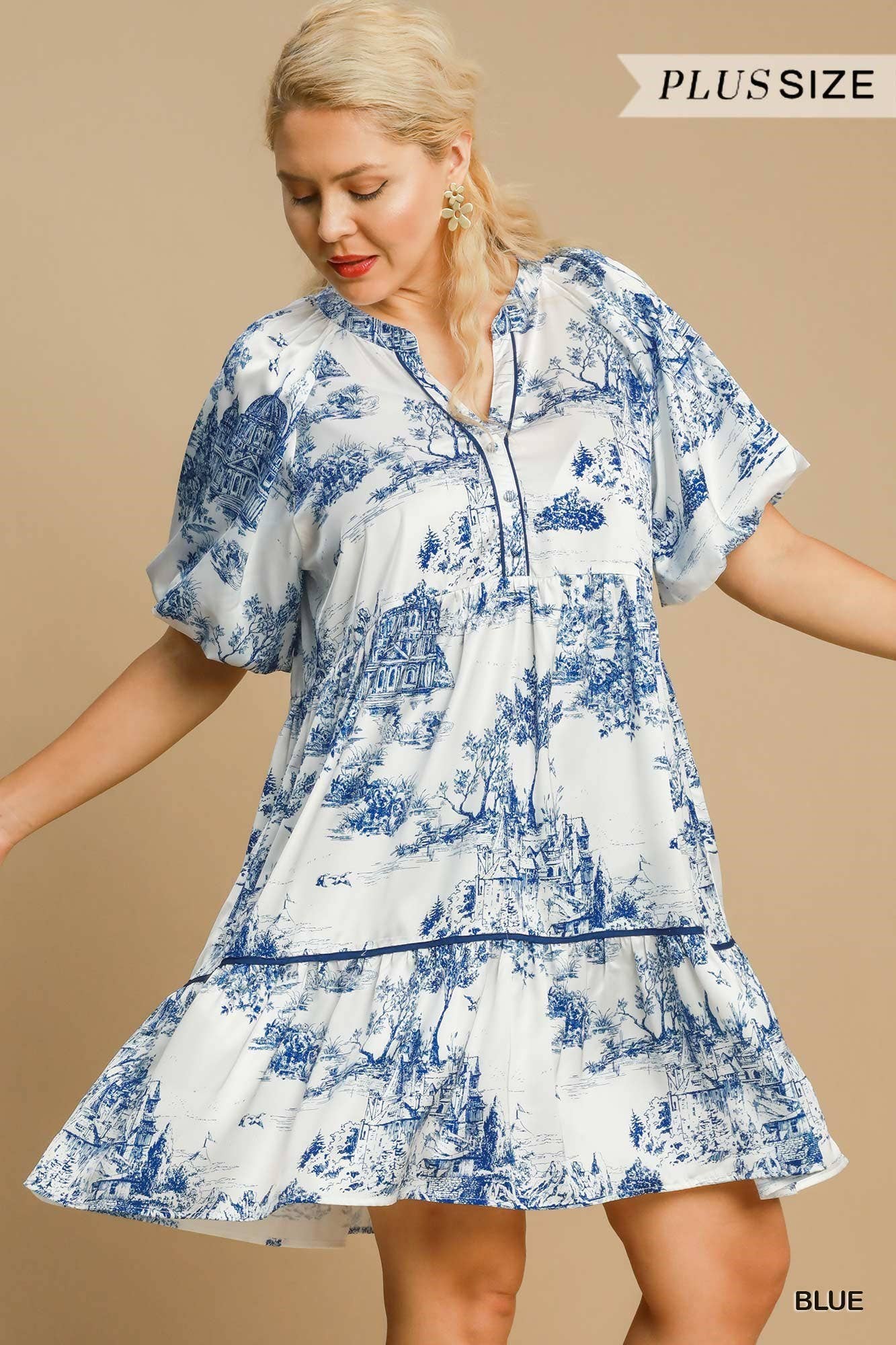 Plus Two Tone Landscape Print Dress